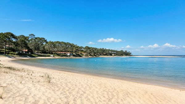 Plongez dans l'esprit unique de cap ferret et ses trésors